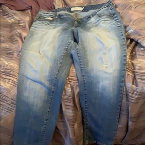 Torrid Jeans